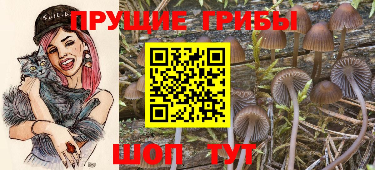 Семёнов  Галлюциногенные грибы ЛСД  Вход с VPN 